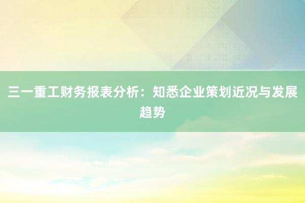 三一重工财务报表分析：知悉企业策划近况与发展趋势
